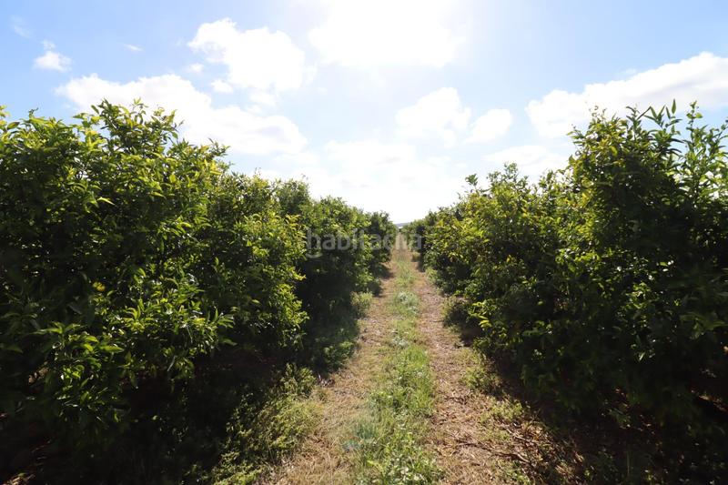 Foto 4c2830a5-79d6-4a9a-971b-c9759fea6a9c. Finca rústica a Partidas de Interior - Zona Rústica Vinaròs