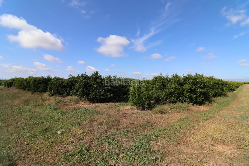 Foto 7ddc8369-e872-4460-a23a-122eb0a130cf. Finca rústica a Partidas de Interior - Zona Rústica Vinaròs