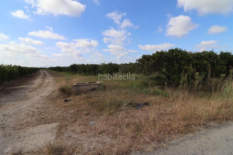 Foto b8171187-79c6-406e-9739-582224c86613. Finca rústica a Partidas de Interior - Zona Rústica Vinaròs