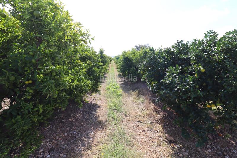 Foto da9d09fc-fdf6-46fb-96b3-9b226d7fedfa. Finca rústica a Partidas de Interior - Zona Rústica Vinaròs