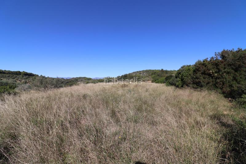 Foto 0cec21fb-71c0-4345-8aae-663bcb5ce0b1. Fondo rustico in Ulldecona