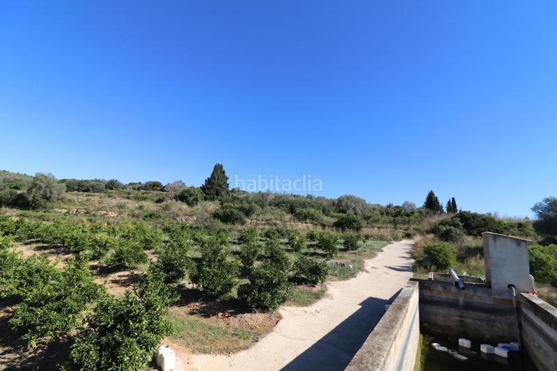 Foto 1950a265-6622-4db1-ae28-a347381d026f. Fondo rustico in Ulldecona