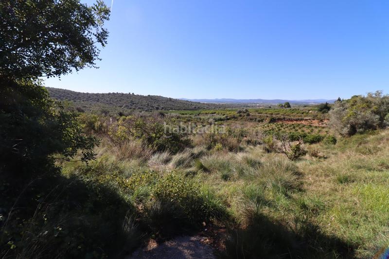 Foto 2370eb32-1fda-45a1-8a96-9280aa0bbfed. Fondo rustico in Ulldecona