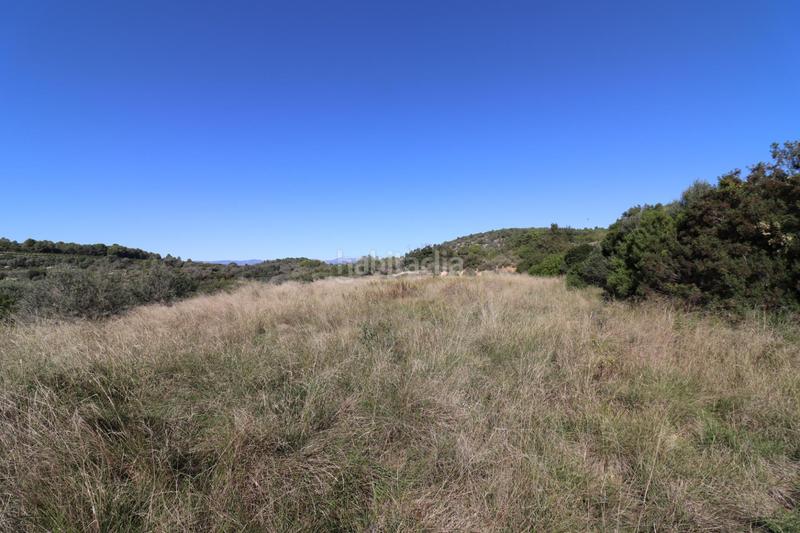 Foto 4d78180d-559d-445a-93f3-eaaa6d238193. Fondo rustico in Ulldecona