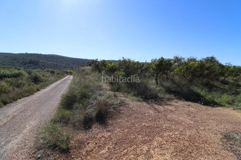 Foto 4edfca51-847d-45ce-8b5c-e9dd5e0a775b. Fondo rustico in Ulldecona