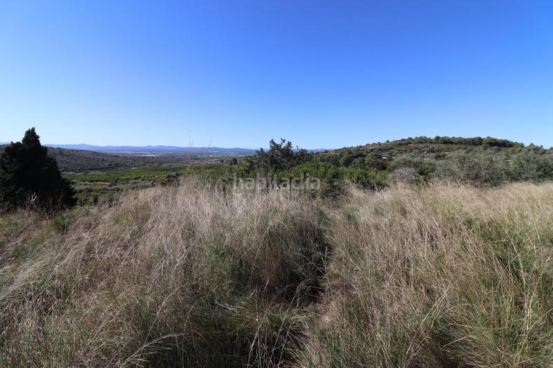 Foto 5851fed5-d410-4d77-a6d5-41b5e71d0501. Fondo rustico in Ulldecona