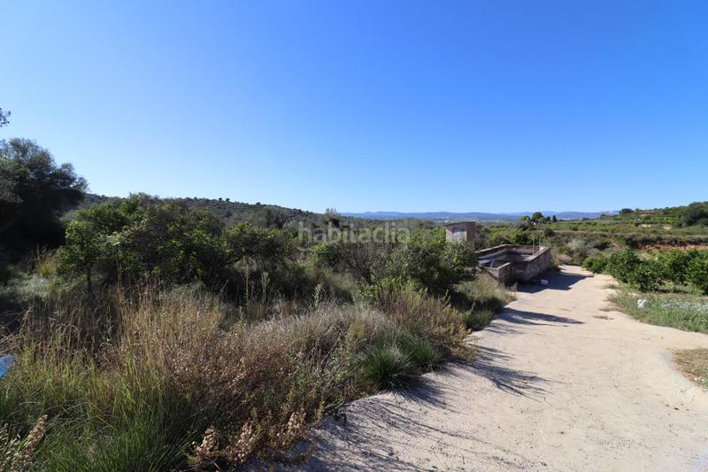 Foto 594a3b56-7e78-454e-9049-6bac96e35288. Fondo rustico in Ulldecona