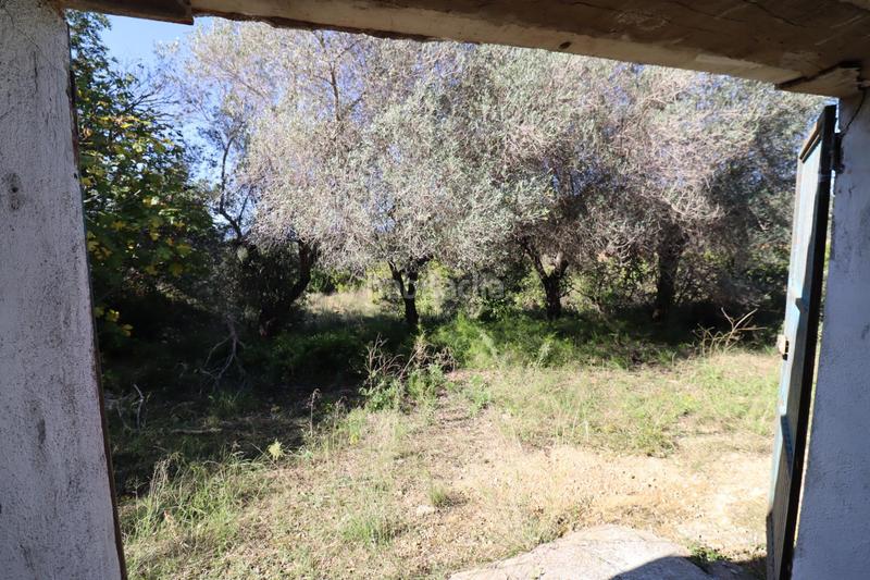 Foto 59ee6ba4-7cb5-41fb-90f9-4513be104c40. Fondo rustico in Ulldecona