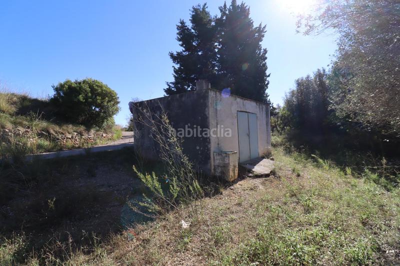 Foto 5a0fb5af-9f03-4d5a-b7dc-722740f3fc25. Fondo rustico in Ulldecona