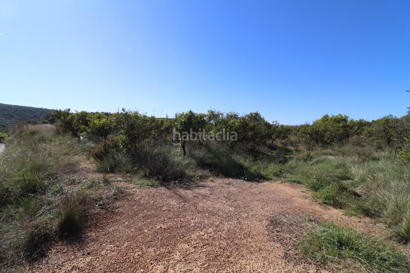 Foto 5aaad0ef-3cfe-4e88-8638-4e8618733b9e. Fondo rustico in Ulldecona