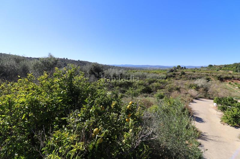 Foto 5d2e61d5-56d9-4a23-835e-650e9f95d142. Fondo rustico in Ulldecona