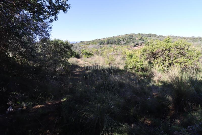 Foto 6832f7de-3681-4794-8bd3-60cd018b3a8f. Fondo rustico in Ulldecona