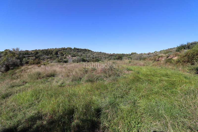 Foto 6fb0f389-07dd-4443-a3c8-7460b316f898. Fondo rustico in Ulldecona