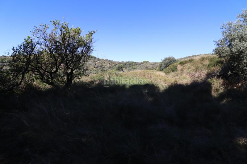 Foto 7bd6e568-8e8e-4f4d-9723-da8d23f3301d. Fondo rustico in Ulldecona