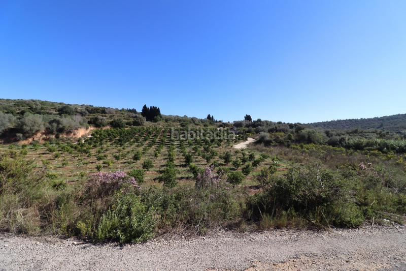 Foto 7ea37d2c-58ca-4435-8ce0-3dd6d047a5ff. Fondo rustico in Ulldecona