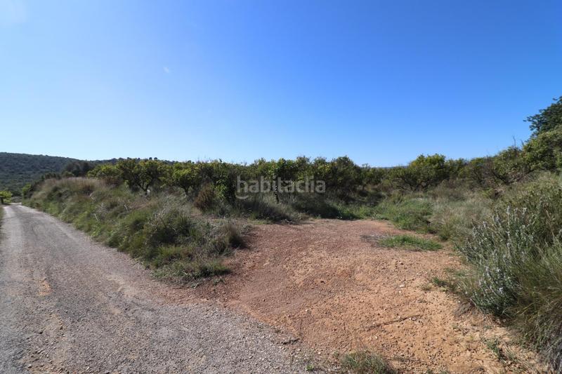 Foto 8283fc6c-cad1-4dcb-bf45-a1418f32b69b. Fondo rustico in Ulldecona