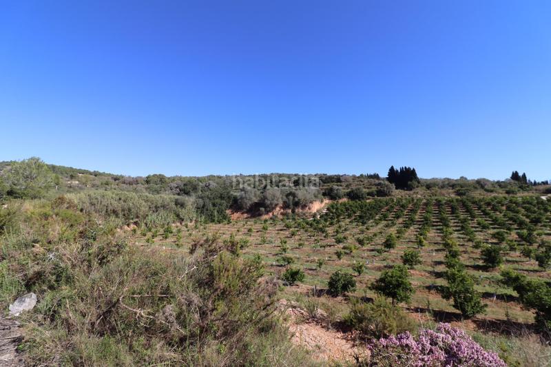 Foto 84ce3755-143c-40e4-849a-879192eba5e7. Fondo rustico in Ulldecona