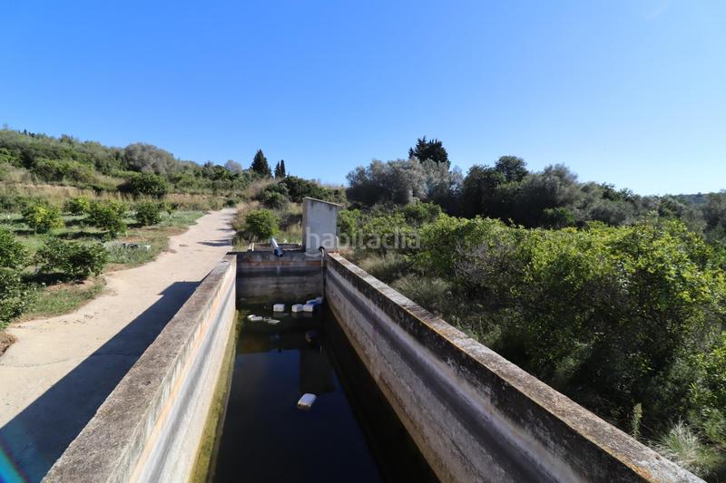 Foto 90a96b4f-3f8d-4c3c-8ced-fbbf16958d61. Fondo rustico in Ulldecona