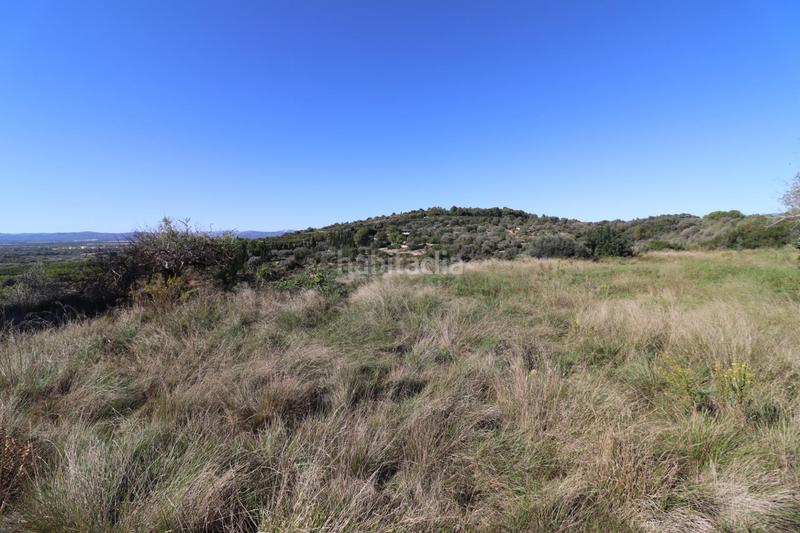 Foto 9e93d076-f179-4346-bd5e-993dc09db0b2. Fondo rustico in Ulldecona