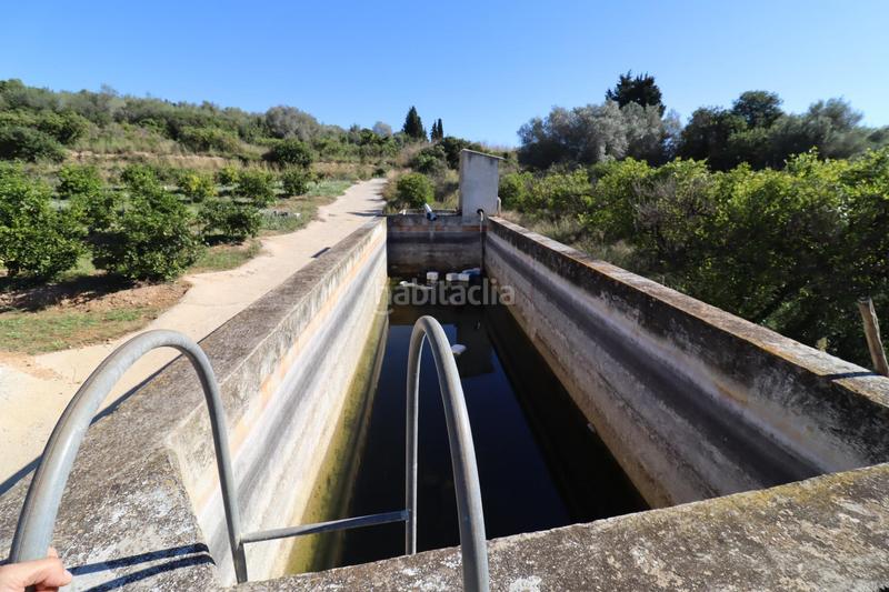 Foto 9ff38b02-dfca-40de-a88b-a104faa4d0ae. Fondo rustico in Ulldecona