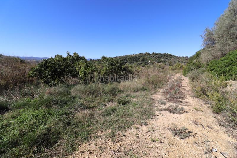 Foto a457dc50-a8f3-481d-a5a1-b1a48293dc42. Fondo rustico in Ulldecona