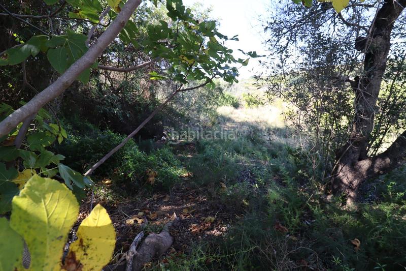 Foto adafd50a-1d79-49fd-964c-b7bd96700394. Fondo rustico in Ulldecona