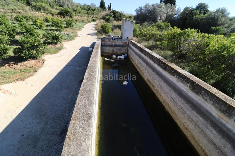 Foto cbdffc60-43ca-4b74-8b3d-a75dc0b0b295. Fondo rustico in Ulldecona