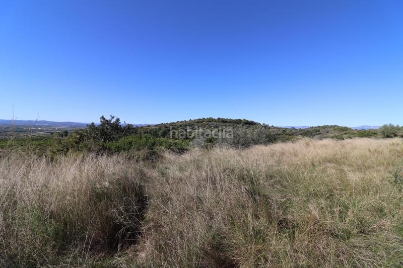 Foto d2947ee9-5c74-4adb-9f39-5a4532e20b25. Fondo rustico in Ulldecona