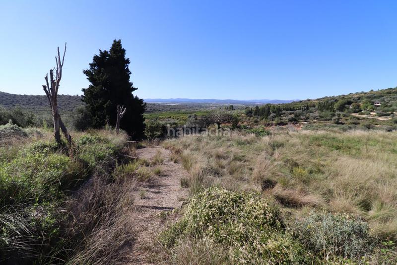 Foto d7ecf033-b378-4672-916a-7fc53b87025e. Fondo rustico in Ulldecona