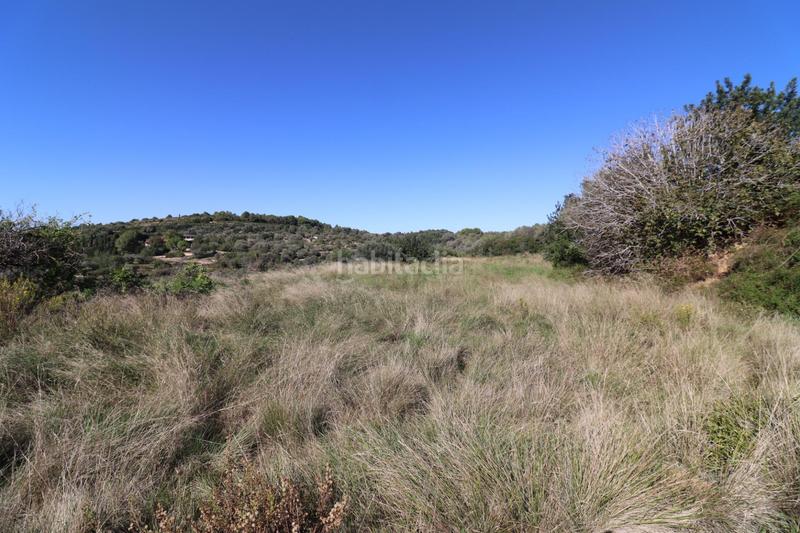 Foto dcc878dd-74ac-425d-b90a-174357149159. Fondo rustico in Ulldecona