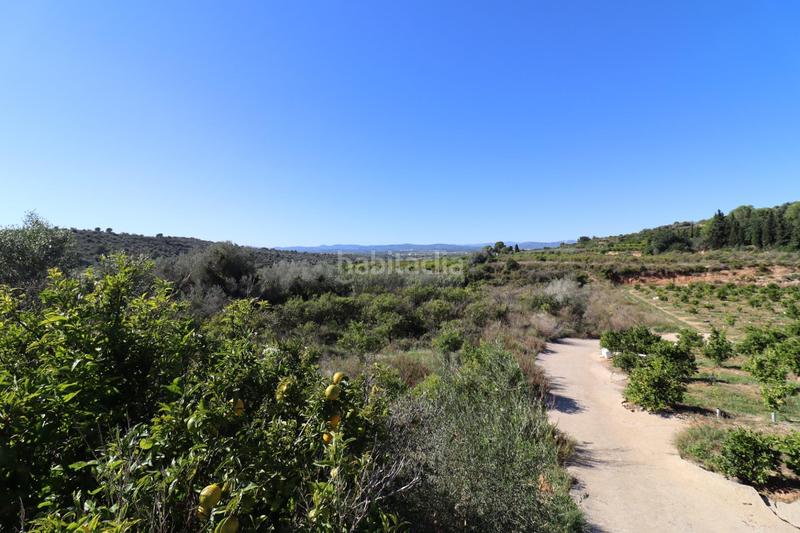 Foto ea9955d4-1277-4004-b2a7-af2c684b76fa. Fondo rustico in Ulldecona