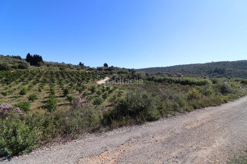 Foto ef17ee76-ddb0-4d0e-a47c-dfb35e6377a7. Fondo rustico in Ulldecona