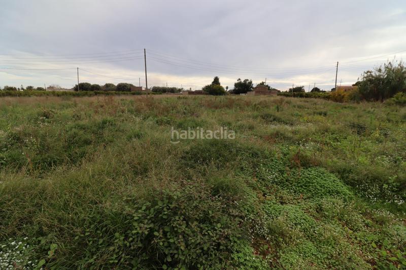 Foto 3125a418-fe35-48be-931f-107e0482a81a. Finca rústica prat en las casas en Alcanar