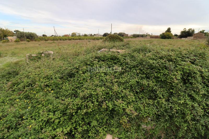 Foto 6385a7dc-6121-4057-ac7c-cf7cae1ddf9b. Finca rústica prat en las casas en Alcanar