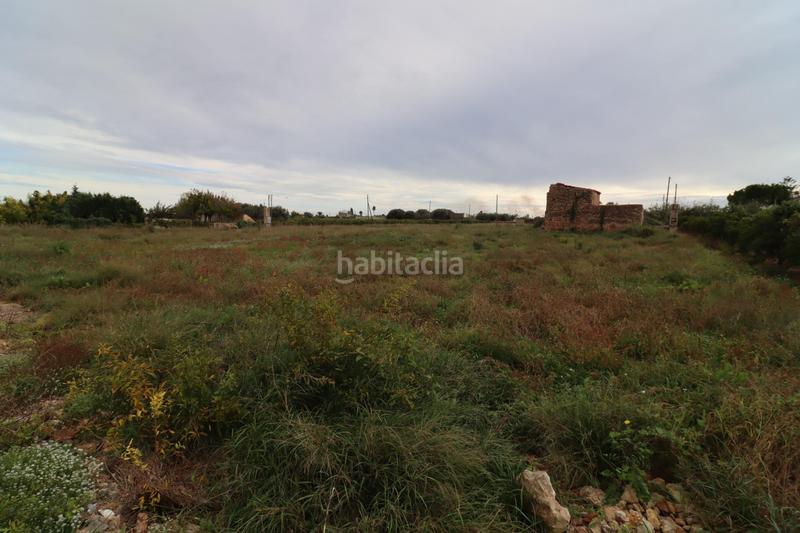 Foto 65eb5e9c-91bf-4a2b-b900-368f0496c6c6. Finca rústica prat en las casas en Alcanar