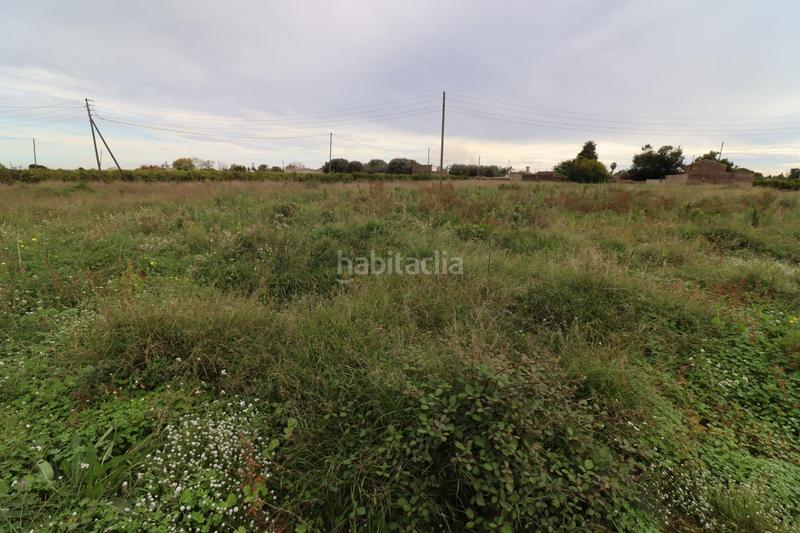 Foto 8b60c79e-71fe-4d8c-a46f-a0c65dff4c18. Finca rústica prat en las casas en Alcanar