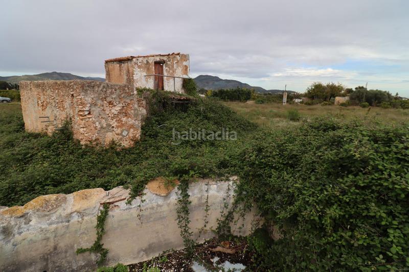 Foto cff5b179-2af9-40ca-b0db-e2f6f4e3a74d. Finca rústica prat en las casas en Alcanar