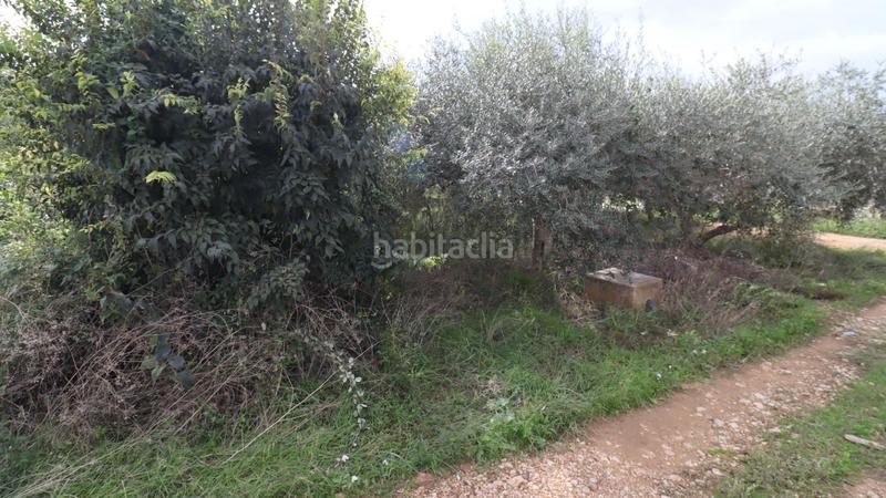 Foto 164dd095-0859-4b68-83cc-2bd56077536f. Finca rústica a Alcanar