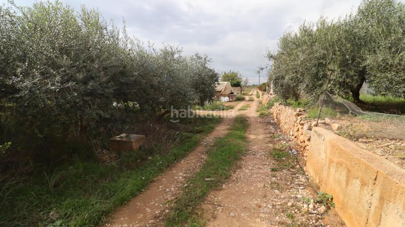 Foto 915b9b50-f1ac-41d9-b6f2-6b32f5a1213e. Finca rústica a Alcanar