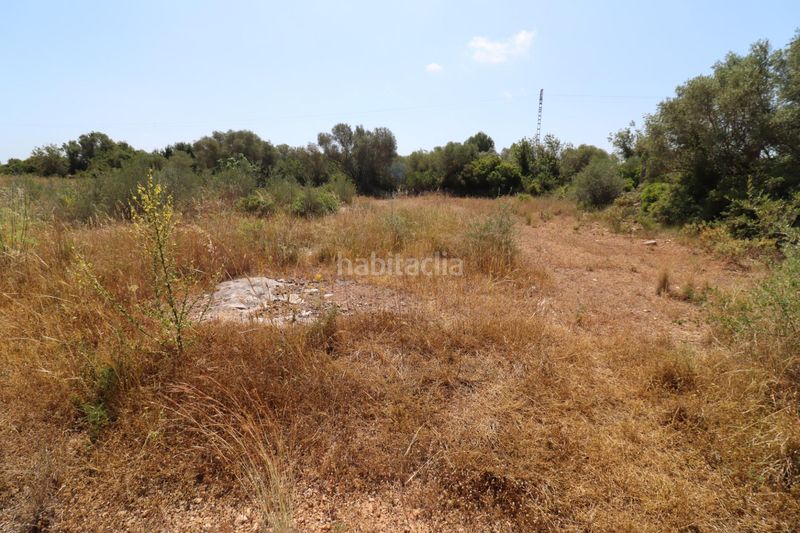 Foto 48a37b7d-fe0f-4769-87b1-e16fb239531f. Finca rústica a San Jorge