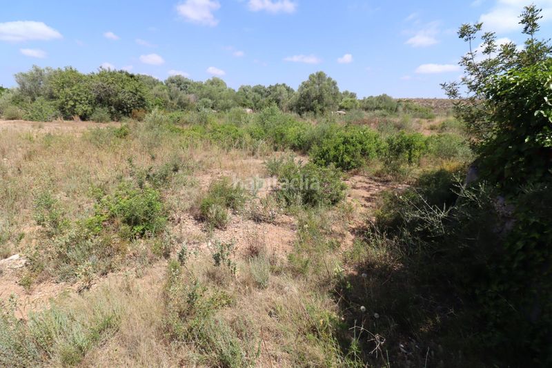 Foto 5df713dc-bd8d-42e1-bfa2-7ac6e3b0bf66. Finca rústica a San Jorge