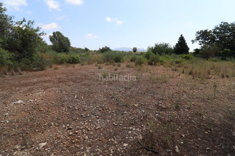 Foto d3f72840-32b4-4ae4-8c7e-87d6858aa784. Finca rústica a San Jorge