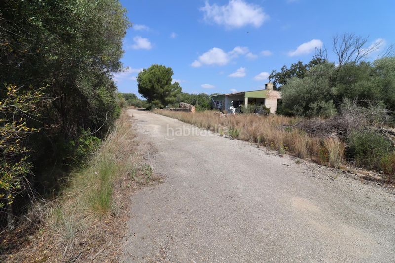 Foto e42f99b3-5632-4313-9cd7-7815dc419333. Finca rústica a San Jorge