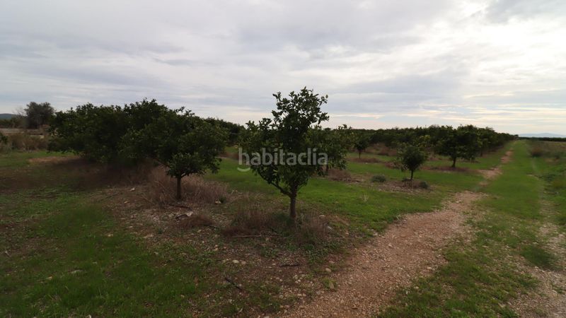 Foto 76b5954a-4324-4530-81a7-829075d57510. Finca rústica a Partidas de Interior - Zona Rústica Vinaròs