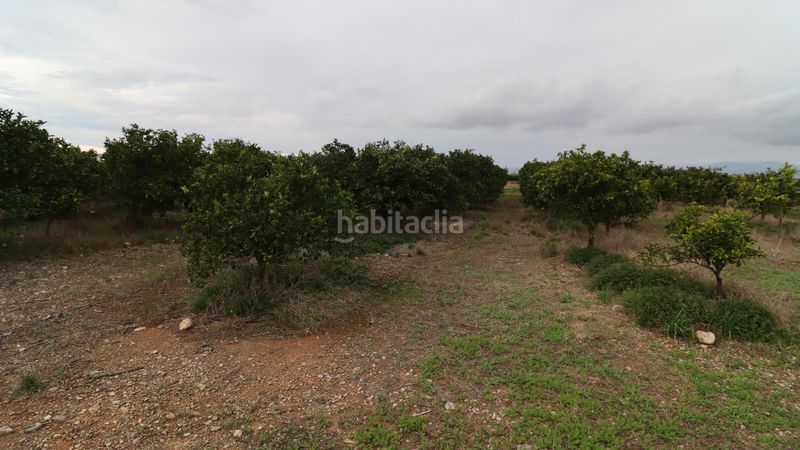 Foto c4fa70fe-bc28-4d5c-9476-0688c31e01a3. Finca rústica a Partidas de Interior - Zona Rústica Vinaròs