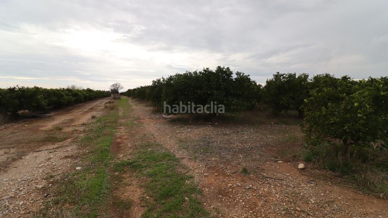 Foto d6ce5e89-2ff6-4d7a-b5d8-bae24595ac11. Finca rústica a Partidas de Interior - Zona Rústica Vinaròs