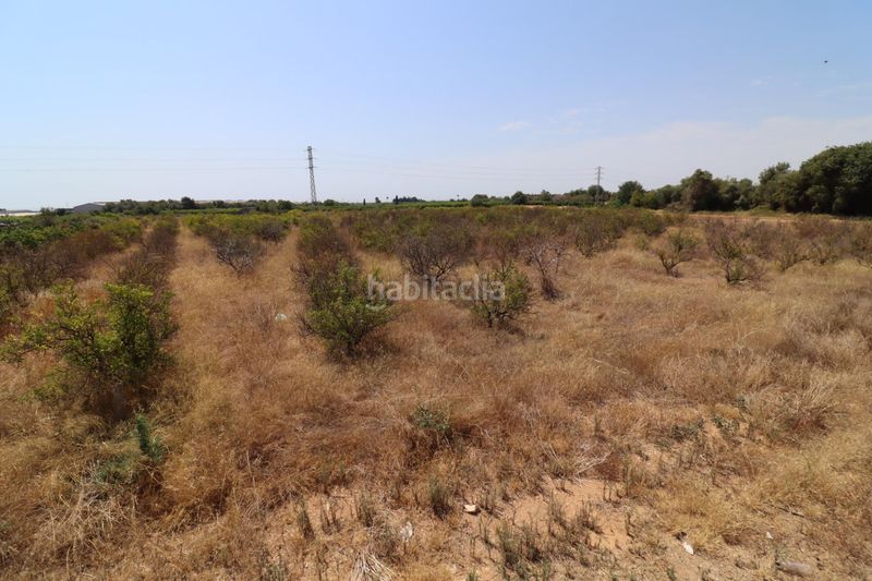 Foto 0884a4aa-a309-4323-99b4-ca5d05c70ce8. Finca rústica a Alcanar