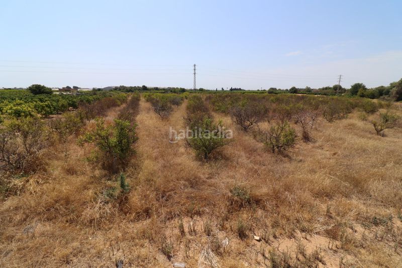 Foto 5000eced-8b69-4b0b-b37f-dc9d02de37f0. Finca rústica a Alcanar