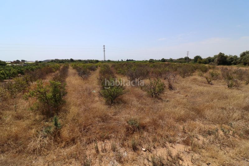 Foto 5fd9dade-91f7-48a7-85ac-19dfbc39a1bc. Finca rústica a Alcanar