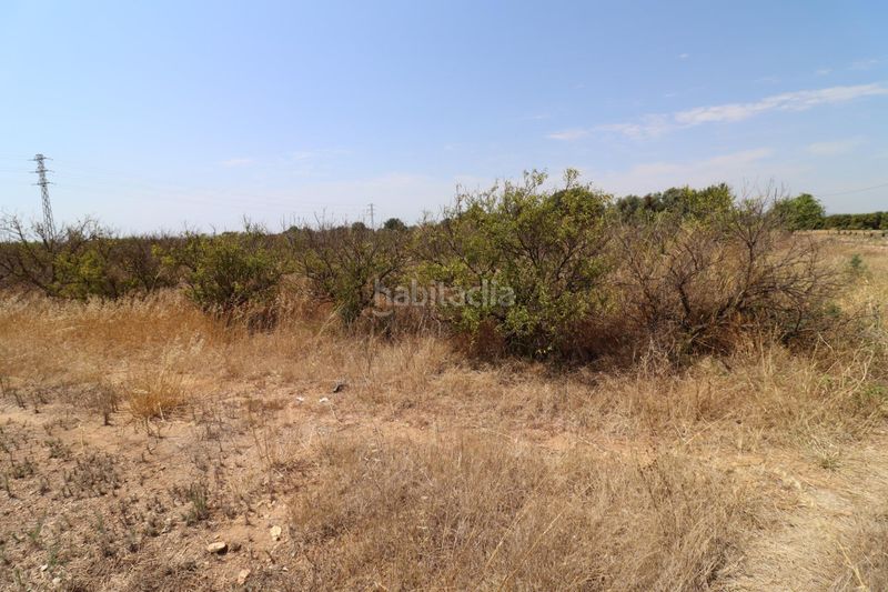 Foto 8984905c-b178-45c4-ab17-b16120e3bd66. Finca rústica a Alcanar